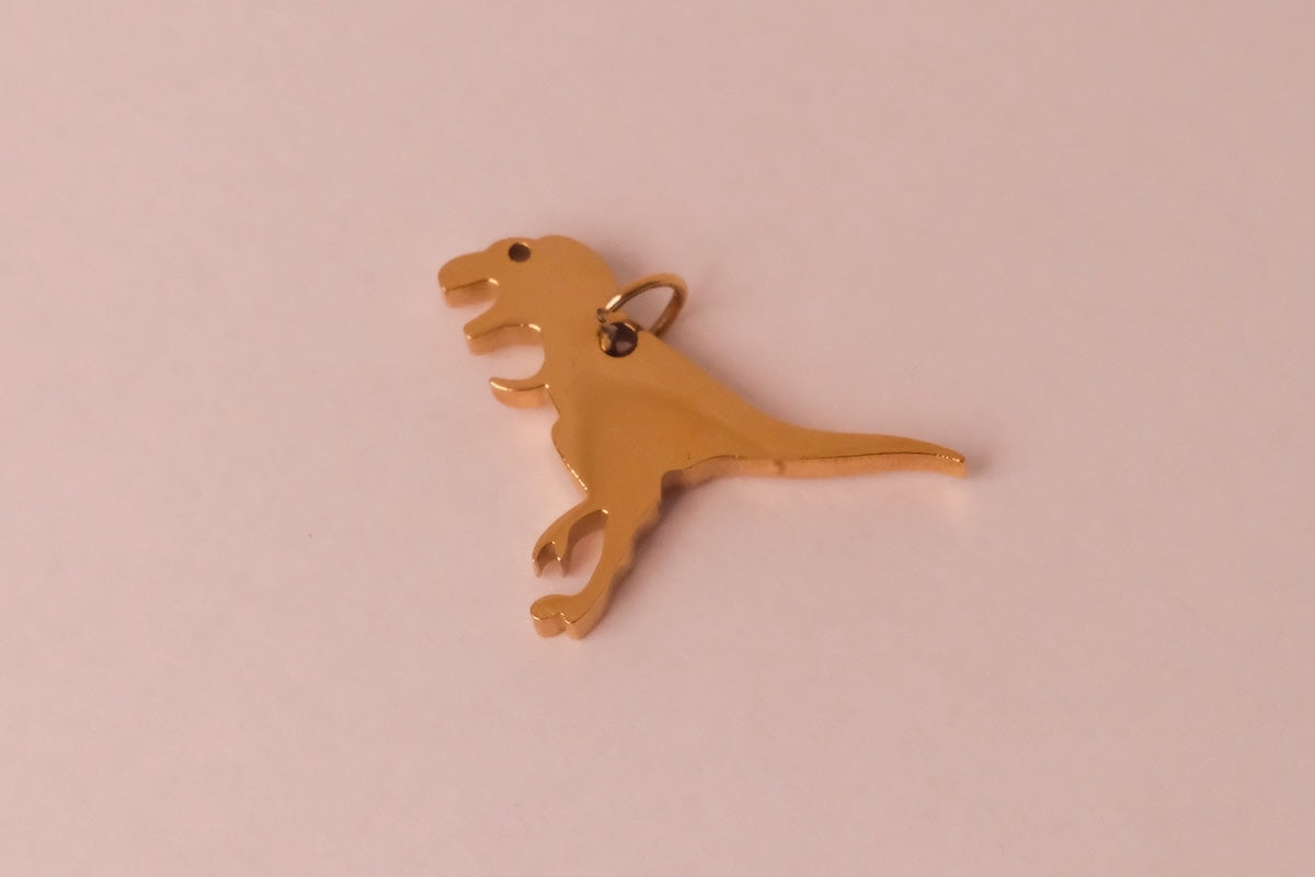 Dino Charm