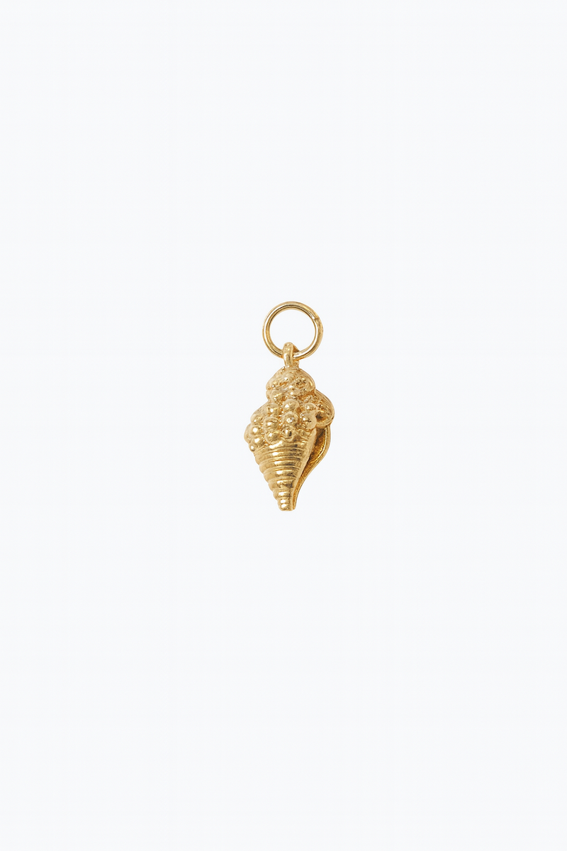 Muskatnuss Muschel Charm