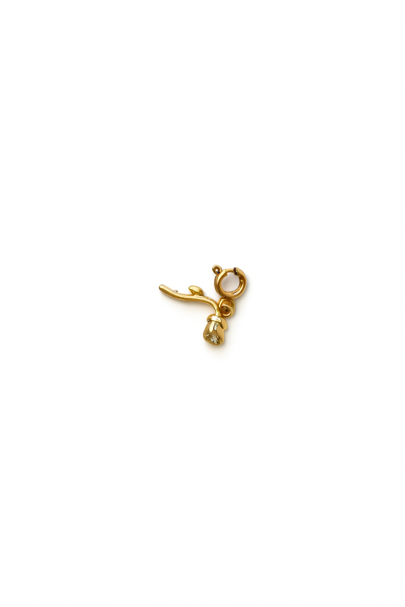 Rosen-Charm