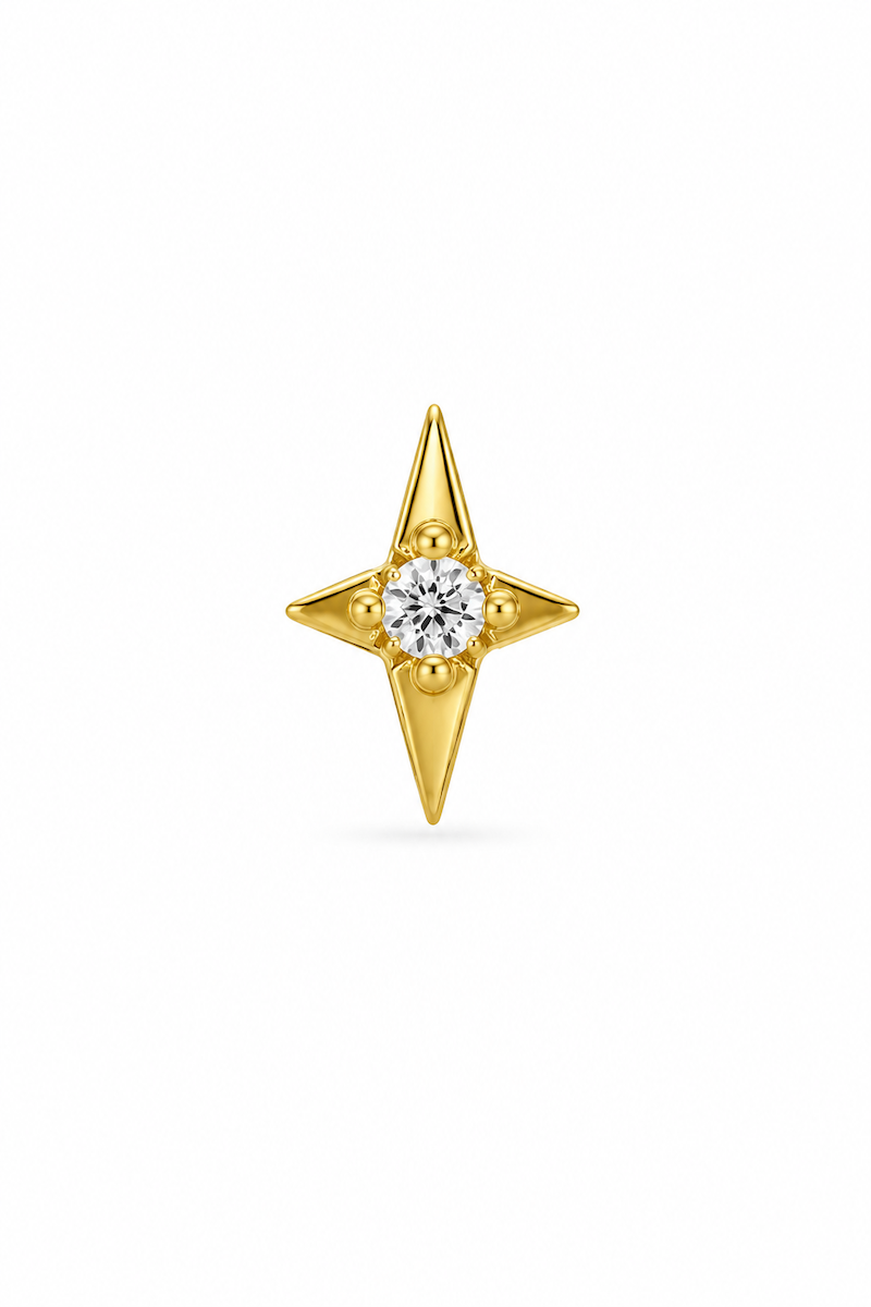 Star Ohrstecker