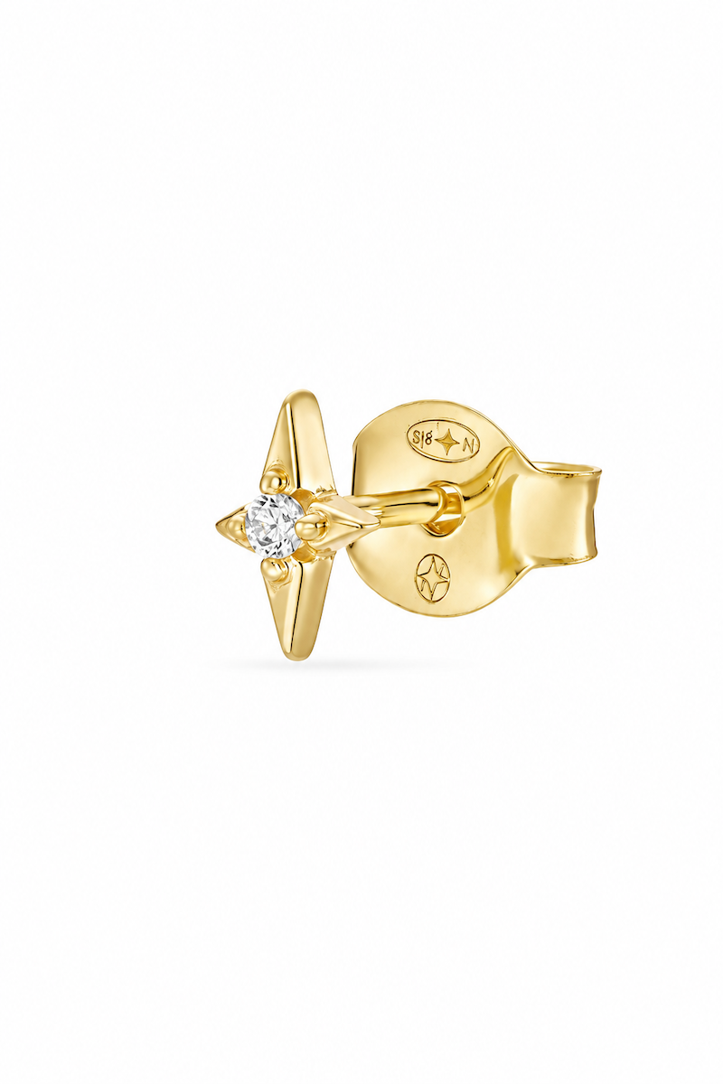 Star Ohrstecker