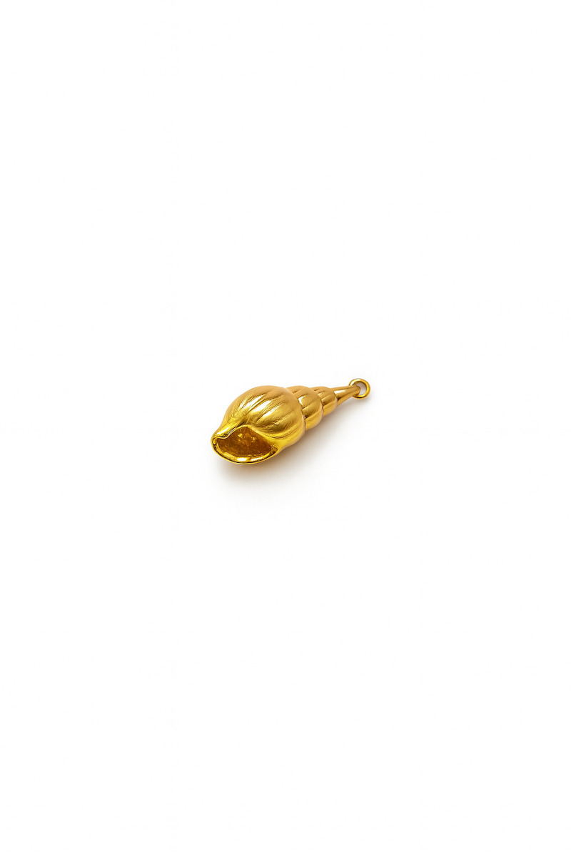 Muskatnuss Muschel Charm