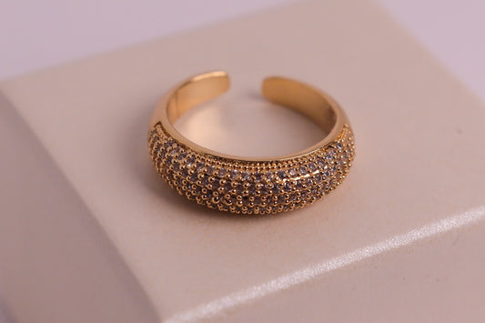 Pavage Ring