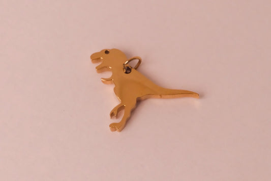 Dino Charm