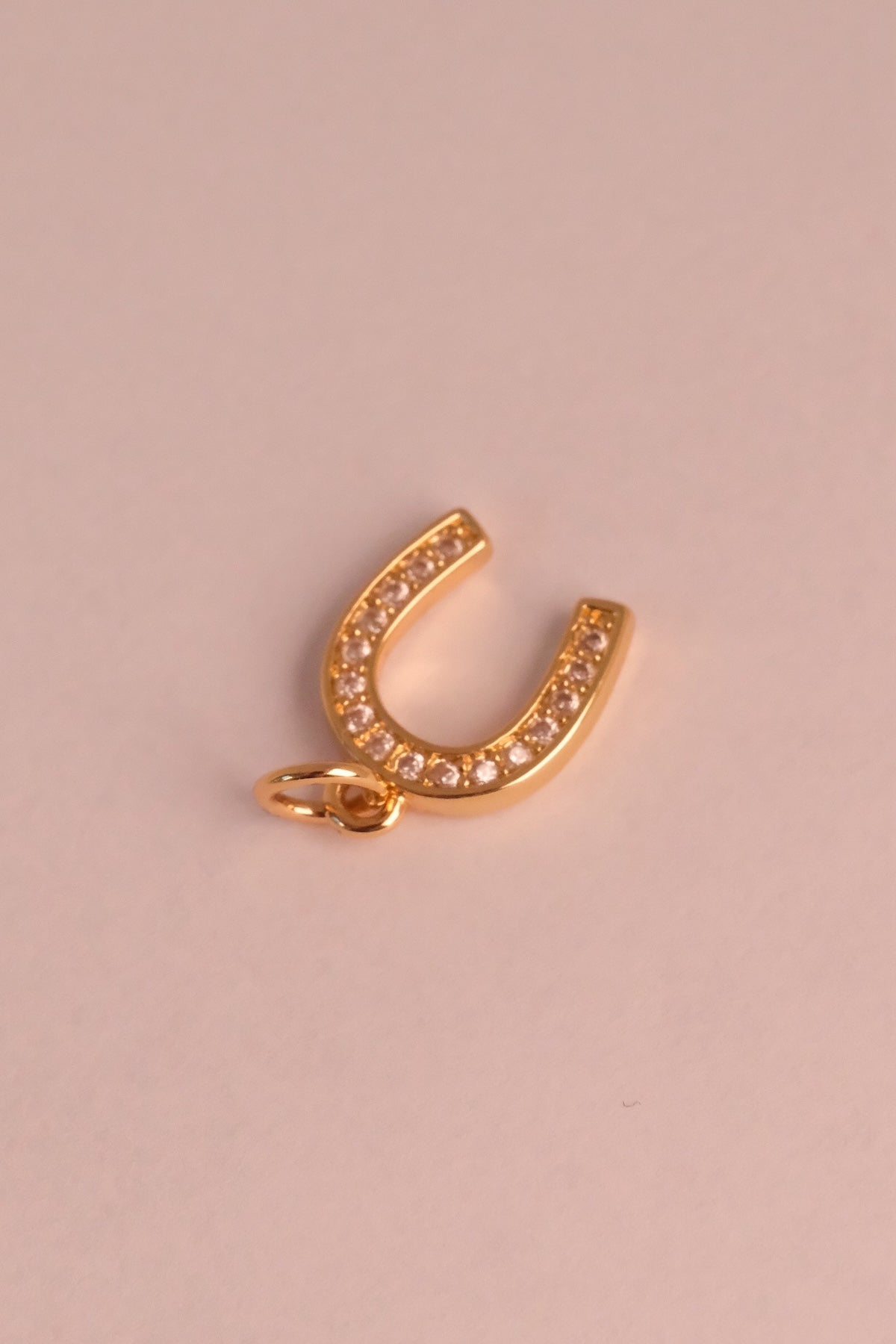 Hufeisen Charm