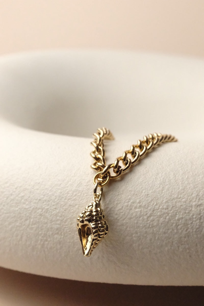 Muskatnuss Muschel Charm