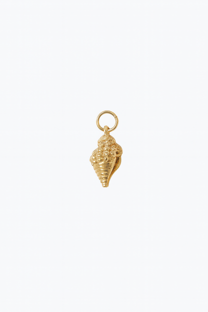 Muskatnuss Muschel Charm