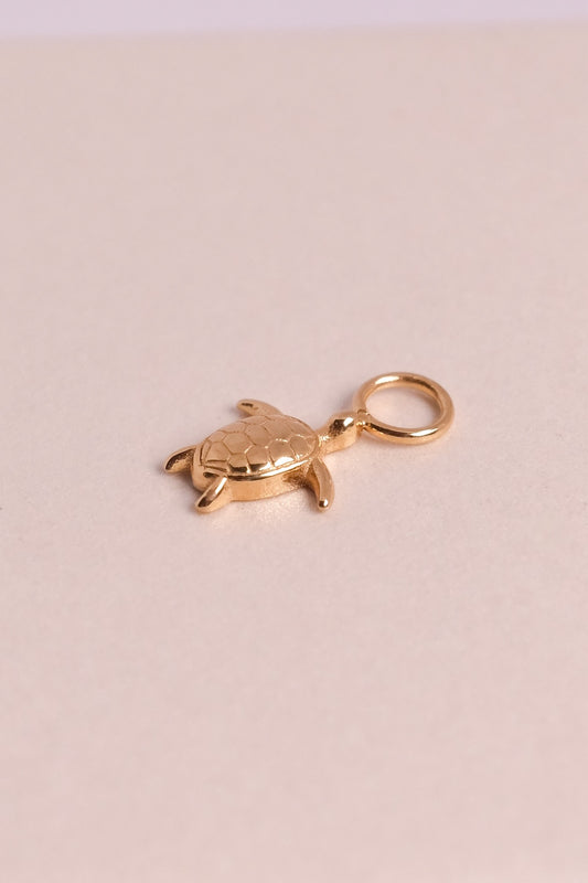 Turtle Charm