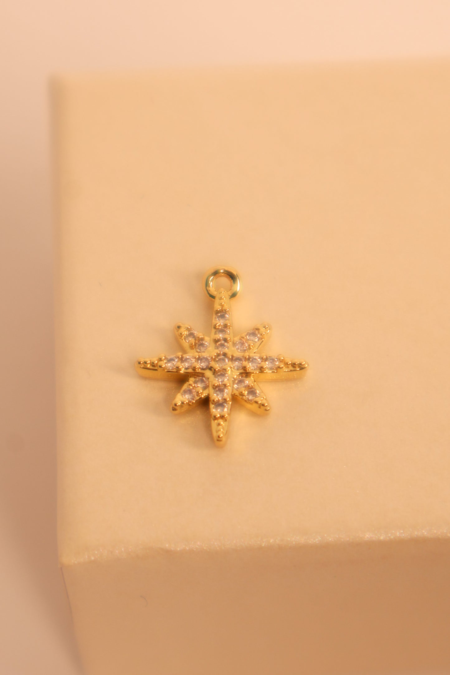 Big Stern Charm